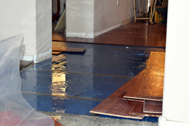 Professional Emergency Water Damage Restoration technician working in Kirby, TX